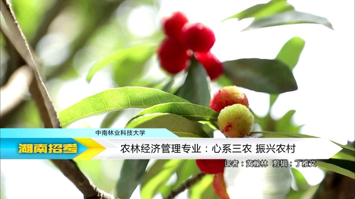 2018专业解码：中南林业科技大学农林经济管理专业
