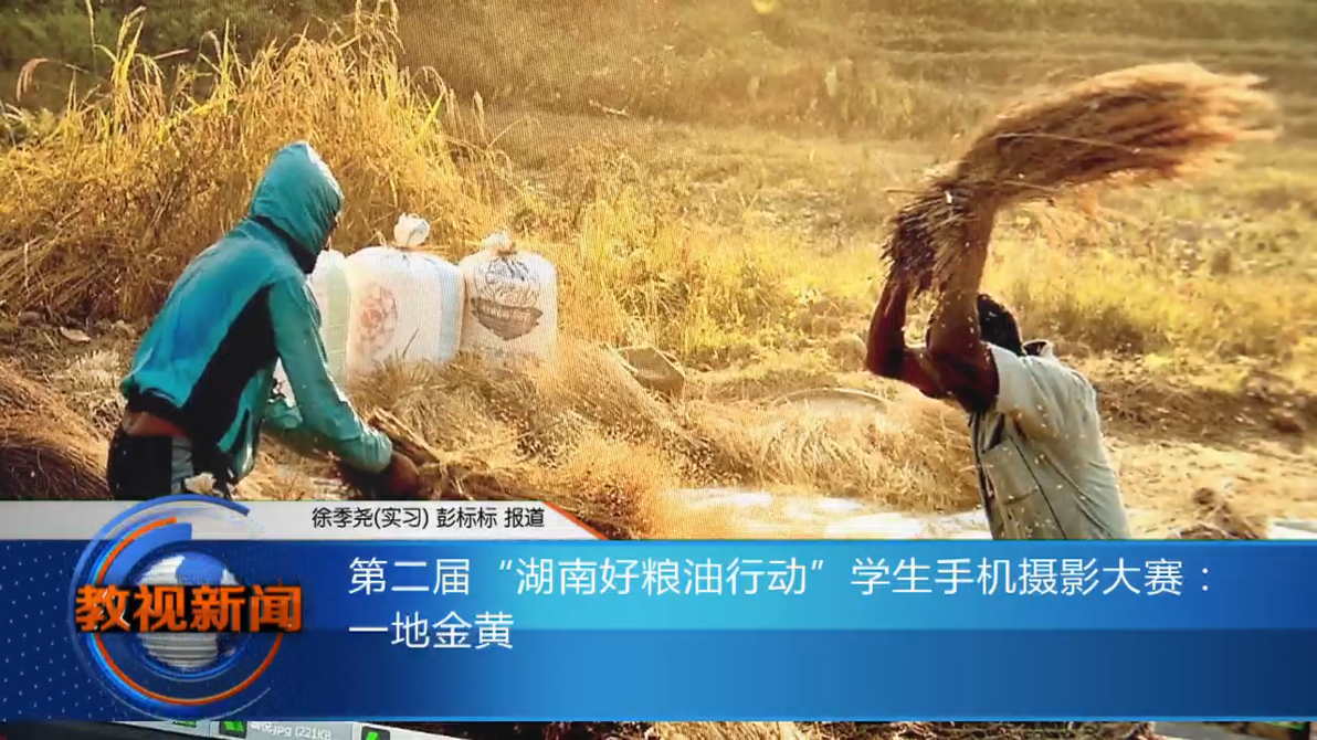 图片背后的故事之一：一地金黄