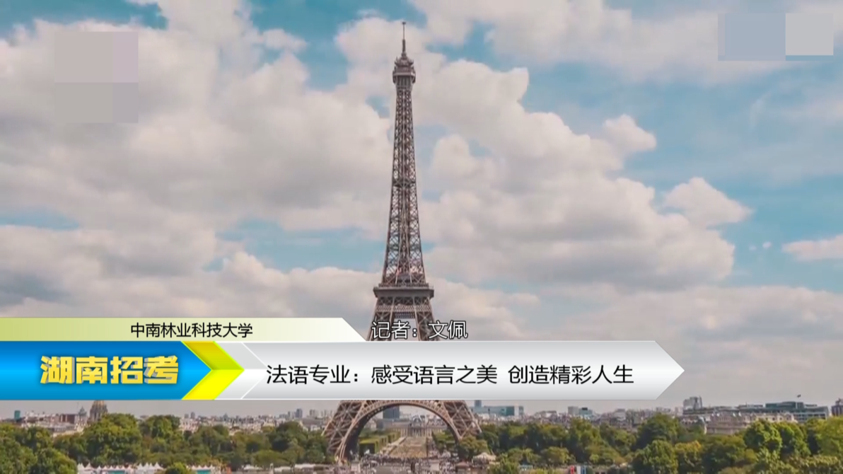 2019专业解码：中南林业科技大学法语专业