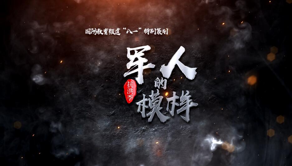 军人的模样•抗洪季——献礼“八一”