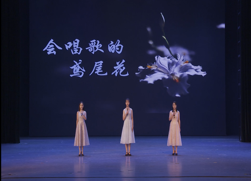 《会唱歌的鸢尾花》长沙师范学院