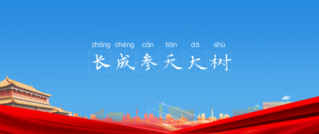 长成参天大树