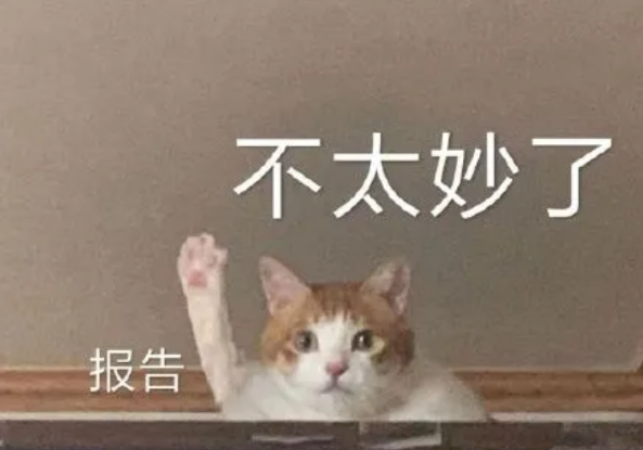 十项全能的大学老师有多恐怖？